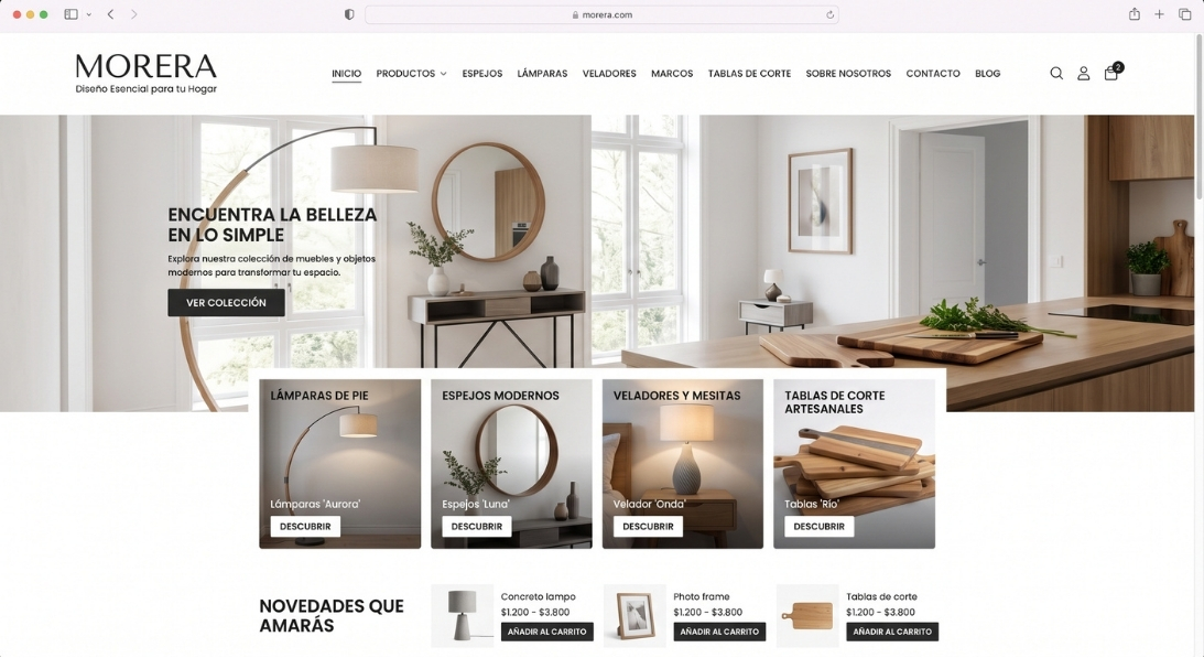 Website mockup